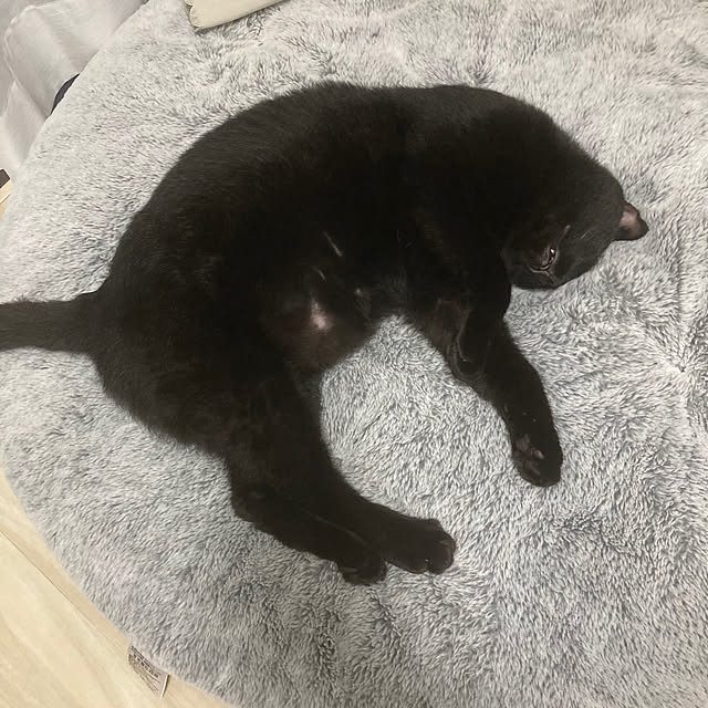 soucoさんの部屋