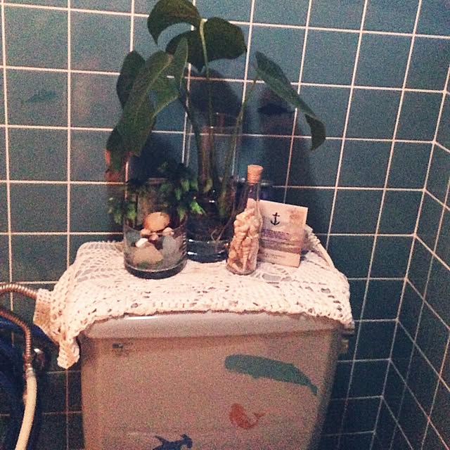 Seiさんの実例写真