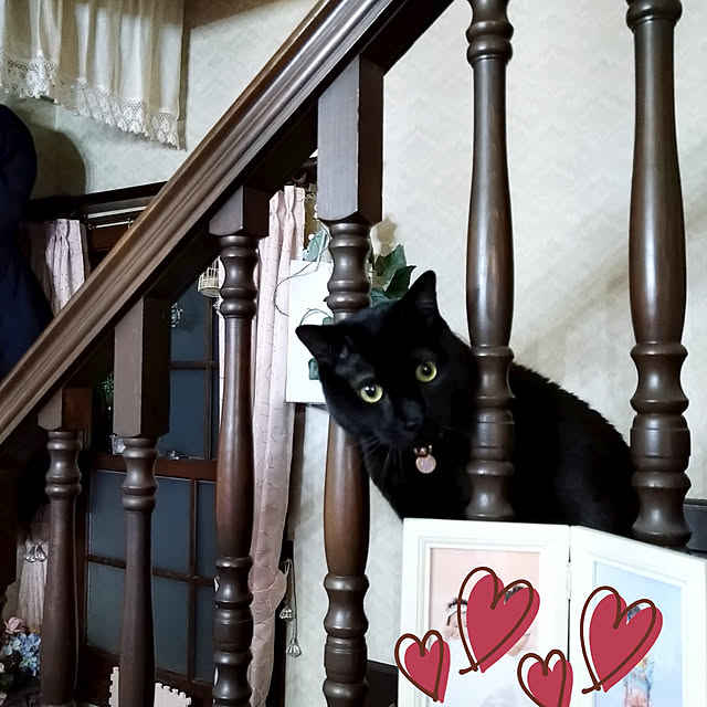 Tさんの実例写真