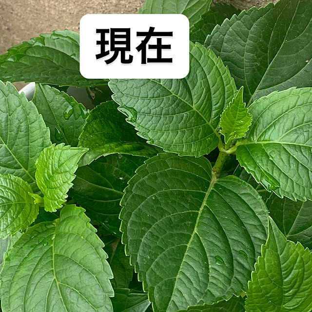 Fumiさんの部屋