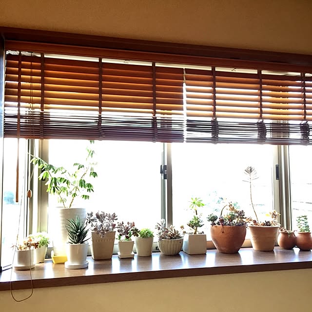 happygardenさんの実例写真