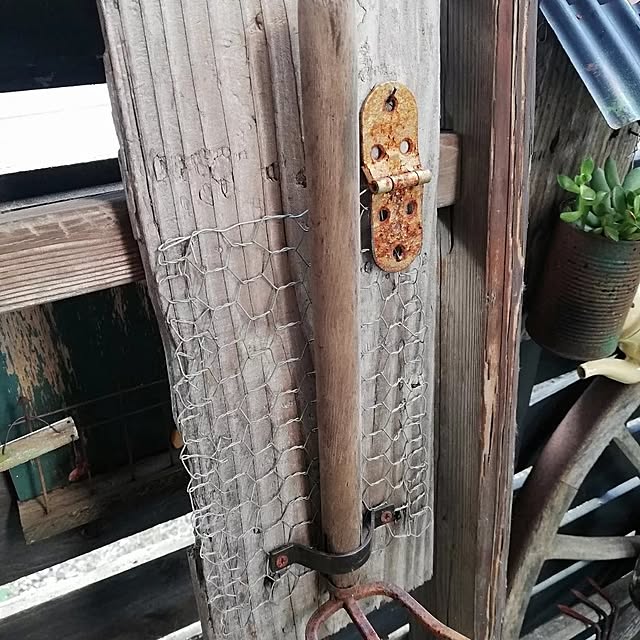 ayanoさんの部屋