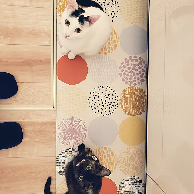 Rinさんの実例写真