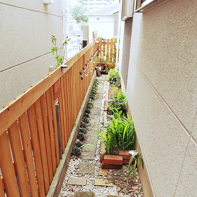kazuさんの実例写真