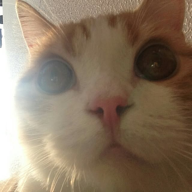 mi123さんの実例写真