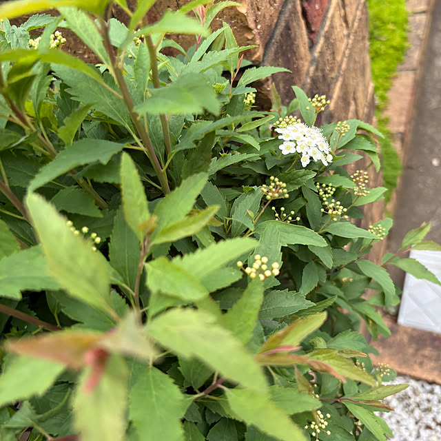 nannoさんの部屋