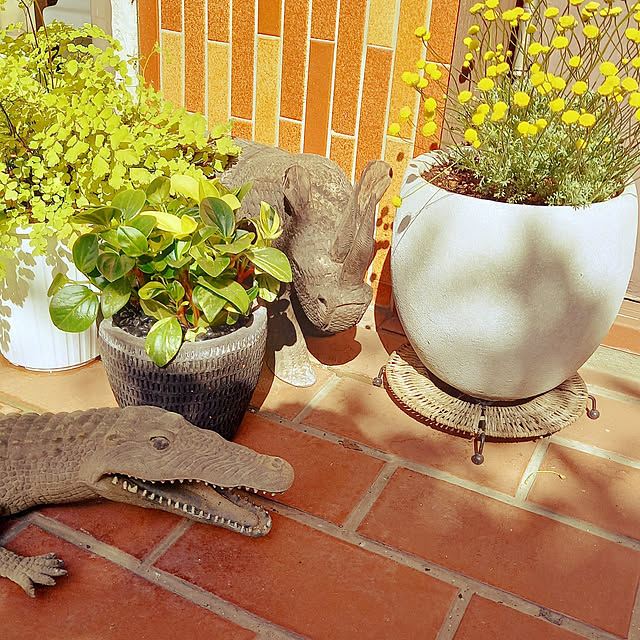 rhuさんの実例写真