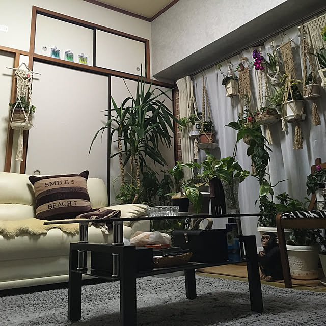nanaさんの実例写真