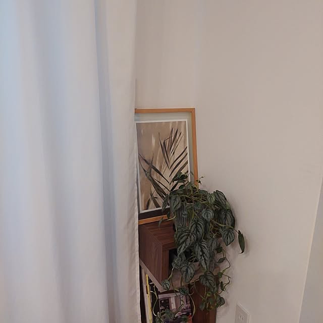 anmomaruさんの部屋