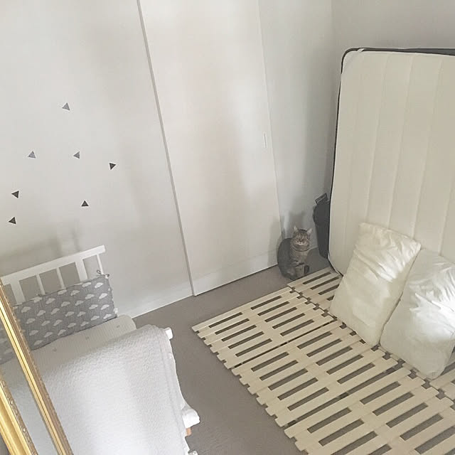 tgpknさんの実例写真
