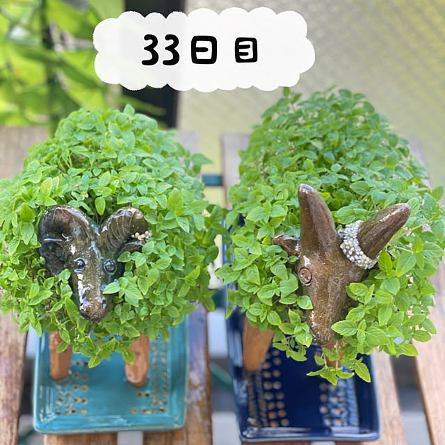 aureaさんの実例写真