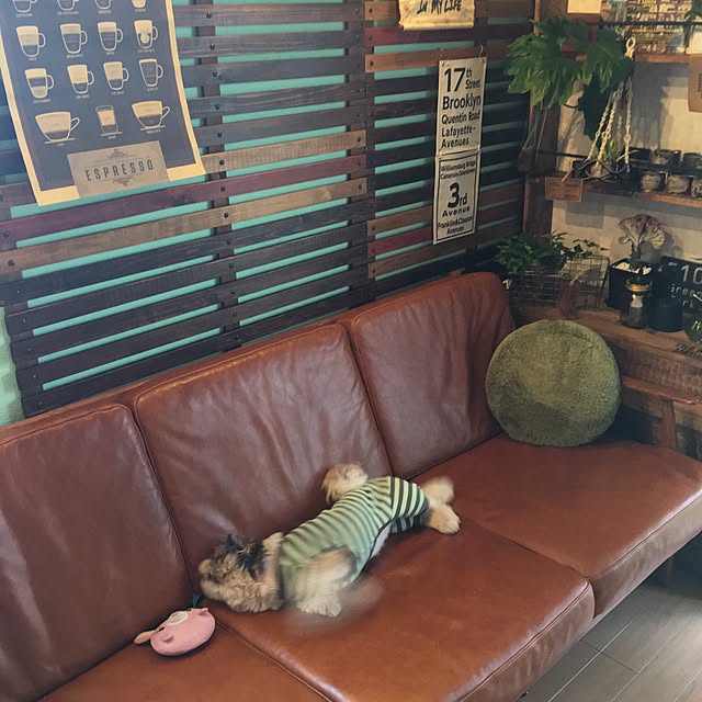 ANNAさんの実例写真