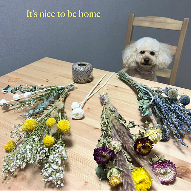 lovelovepoodleさんの実例写真