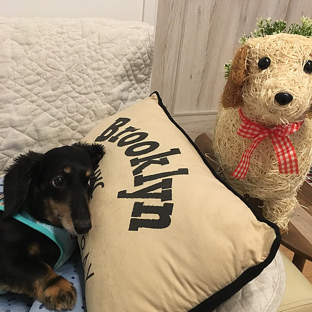 youmitsuさんの実例写真