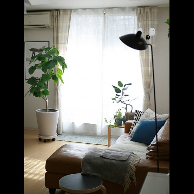 koenyokoさんの実例写真