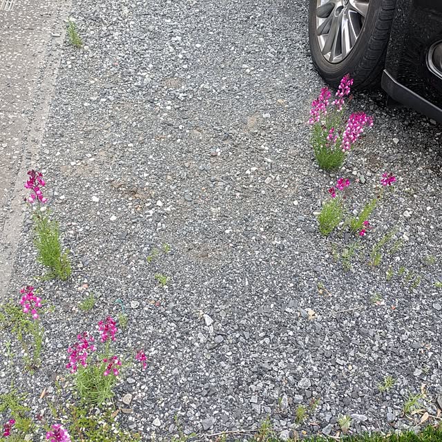 renrinmamaさんの部屋