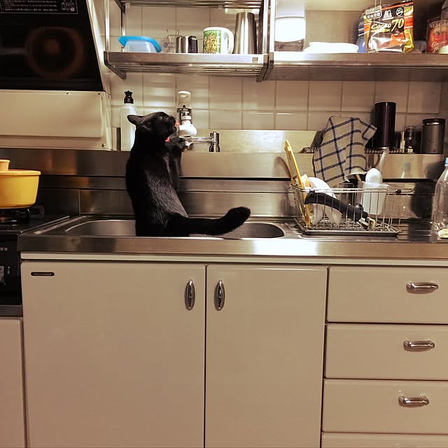 Beeさんの実例写真