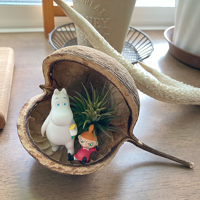 ayayayayaさんの実例写真