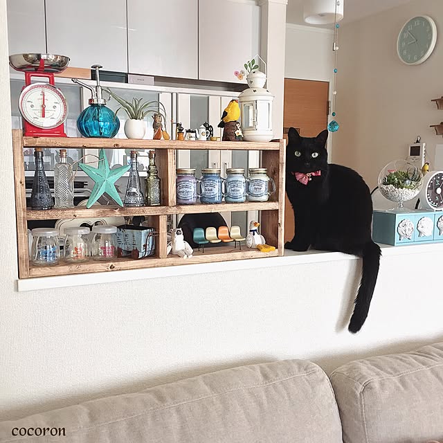 cocoronさんの実例写真