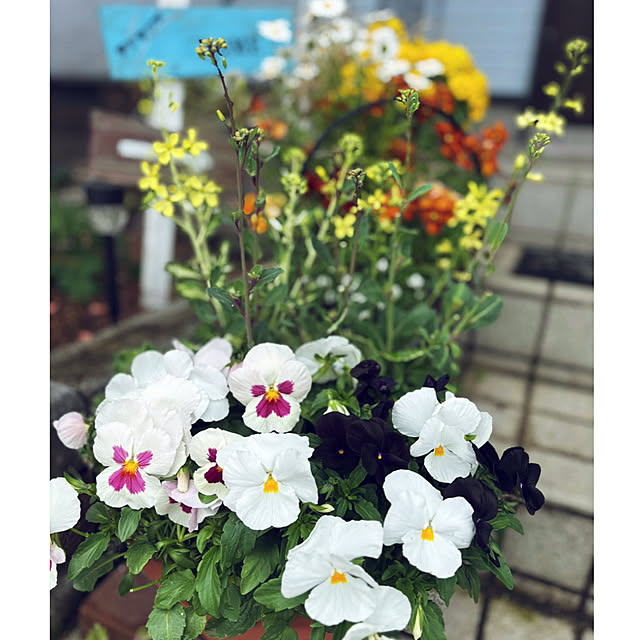 CoCo0617さんの部屋