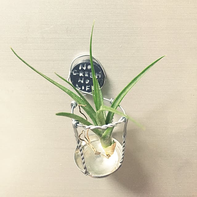 yuuさんの実例写真