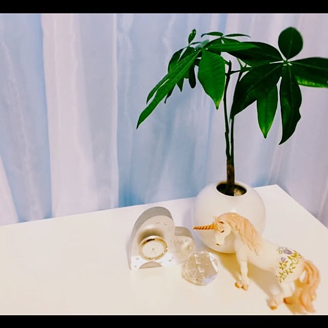 makigonさんの実例写真