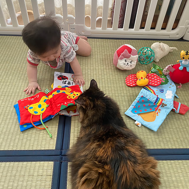 mikomaruさんの実例写真