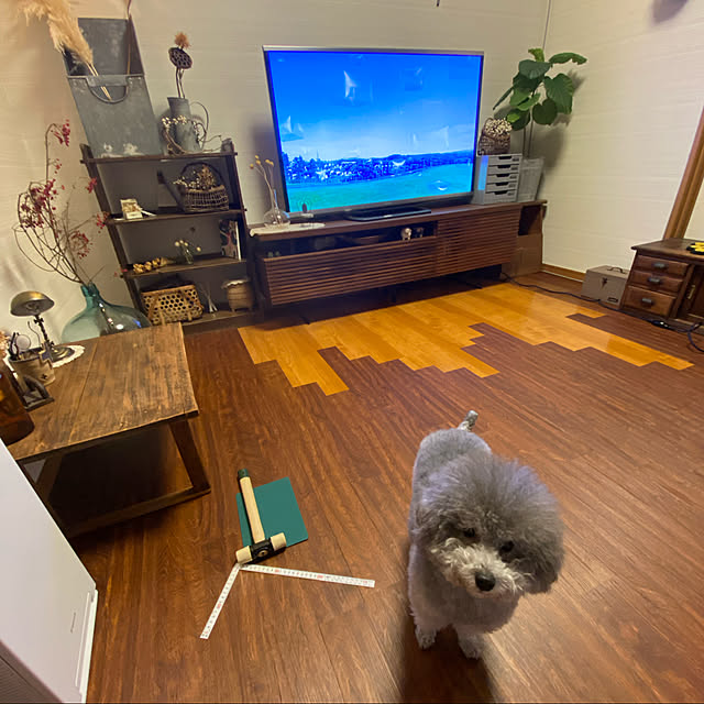 meguko.ryanさんの実例写真