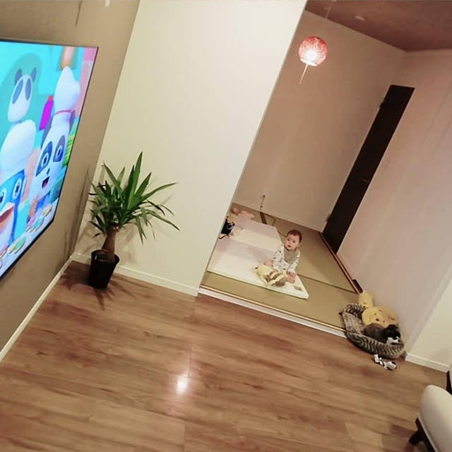 部屋全体/観葉植物のインテリア実例 - 2023-02-03 11:24:04