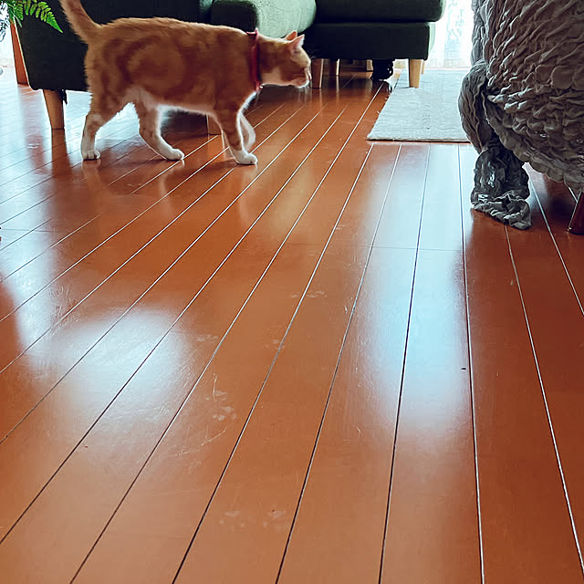 moolさんの部屋