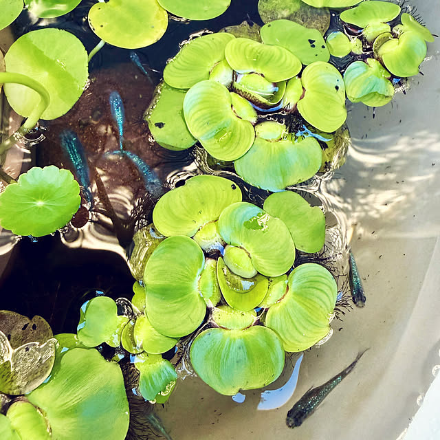 onsix777さんの部屋