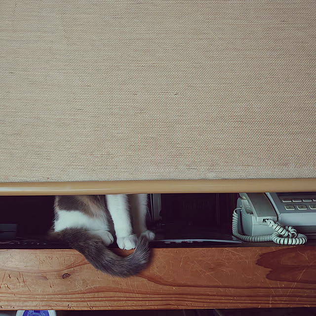 fukuさんの実例写真