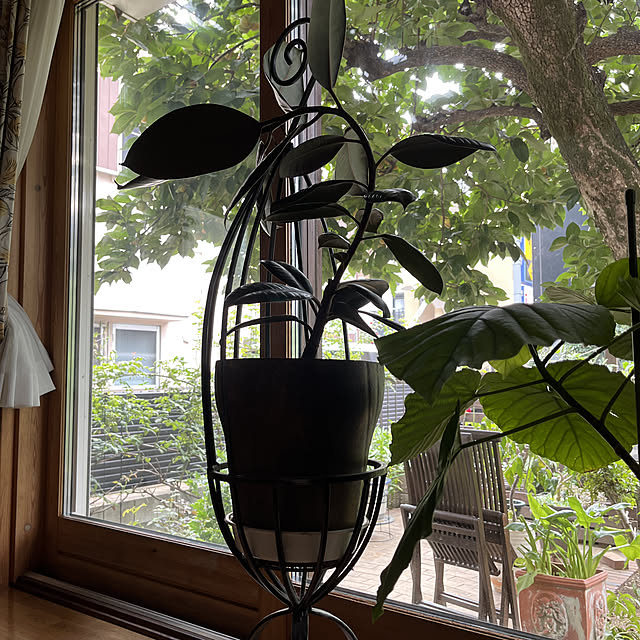 botanさんの実例写真