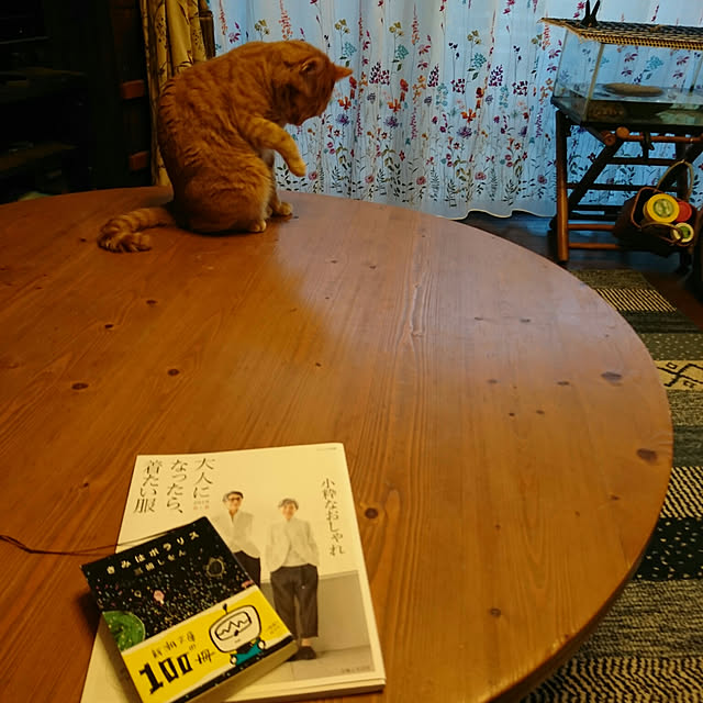 okyosan101さんの実例写真