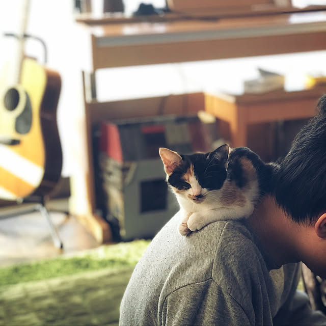 maroさんの実例写真