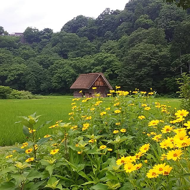 実例写真