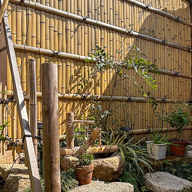 fawnさんの実例写真