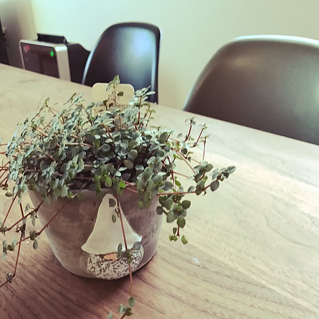 koumeさんの実例写真