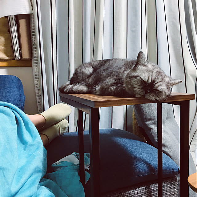 Marinさんの実例写真
