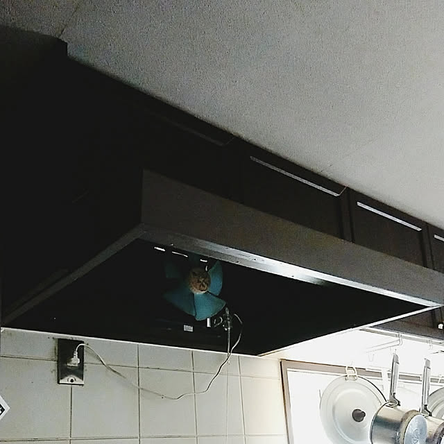 chimakiさんの実例写真