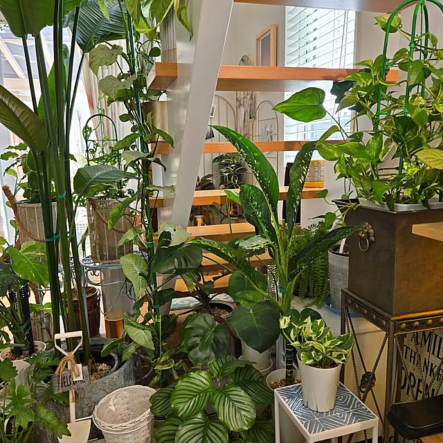 nonbiri_house_さんの実例写真