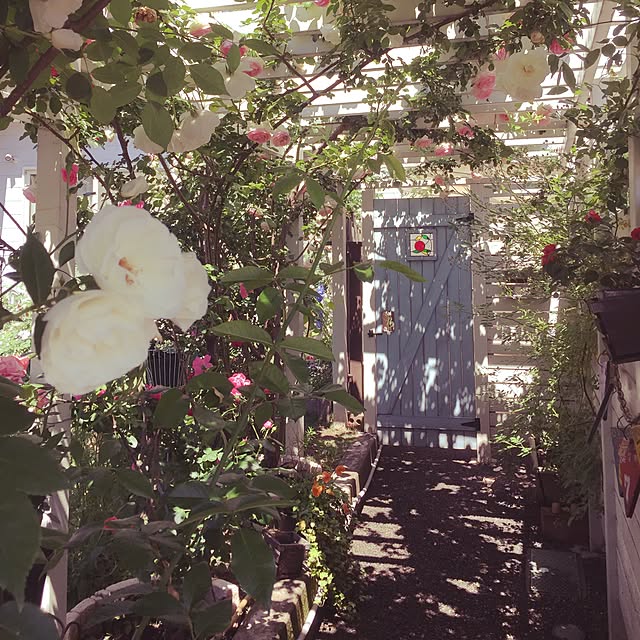 H.Aymさんの実例写真