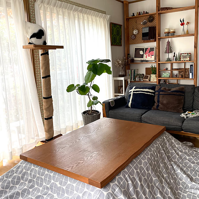 nobikoさんの部屋