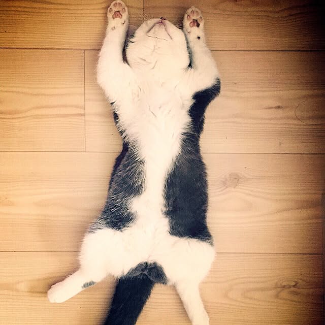 yunさんの実例写真
