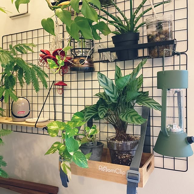 urchinさんの部屋