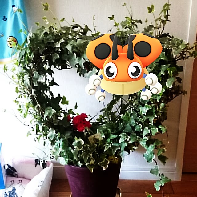 hidemomさんの実例写真