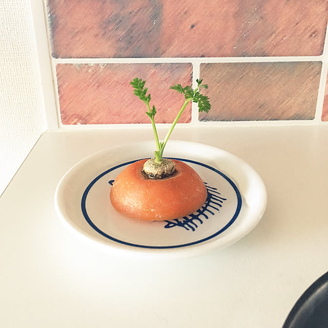 ofujiさんの実例写真