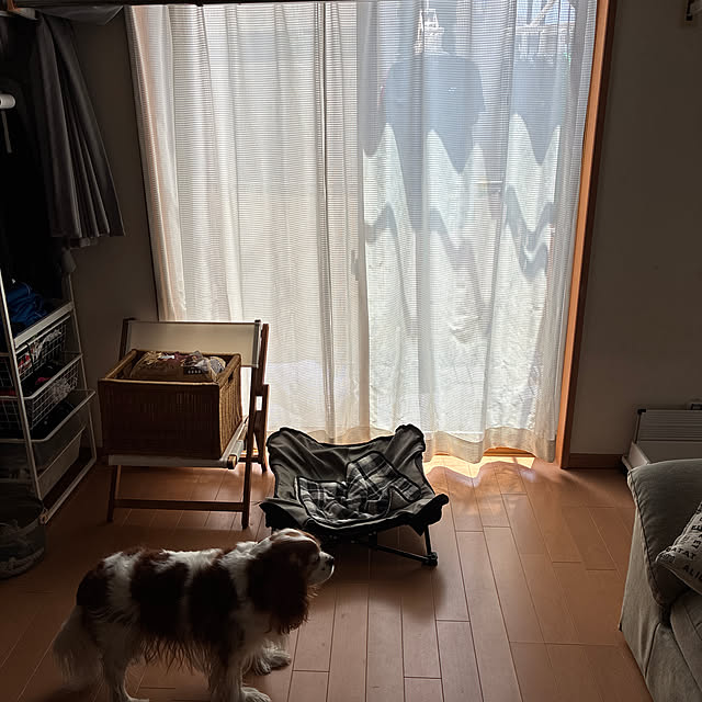 Hjknさんの実例写真