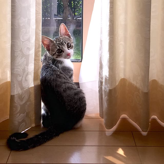 chococoさんの実例写真