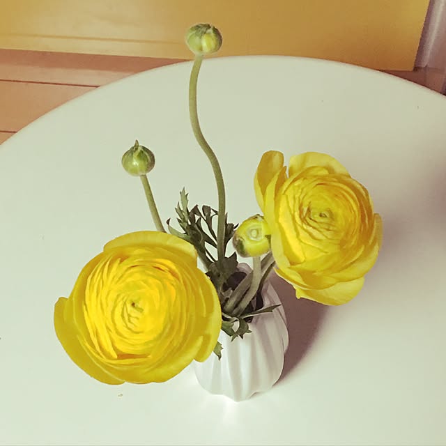 soraさんの実例写真